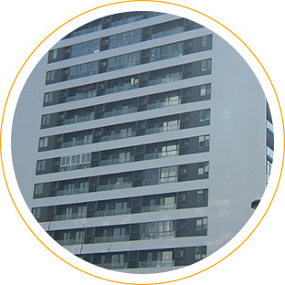 体系庞大1440_03.jpg